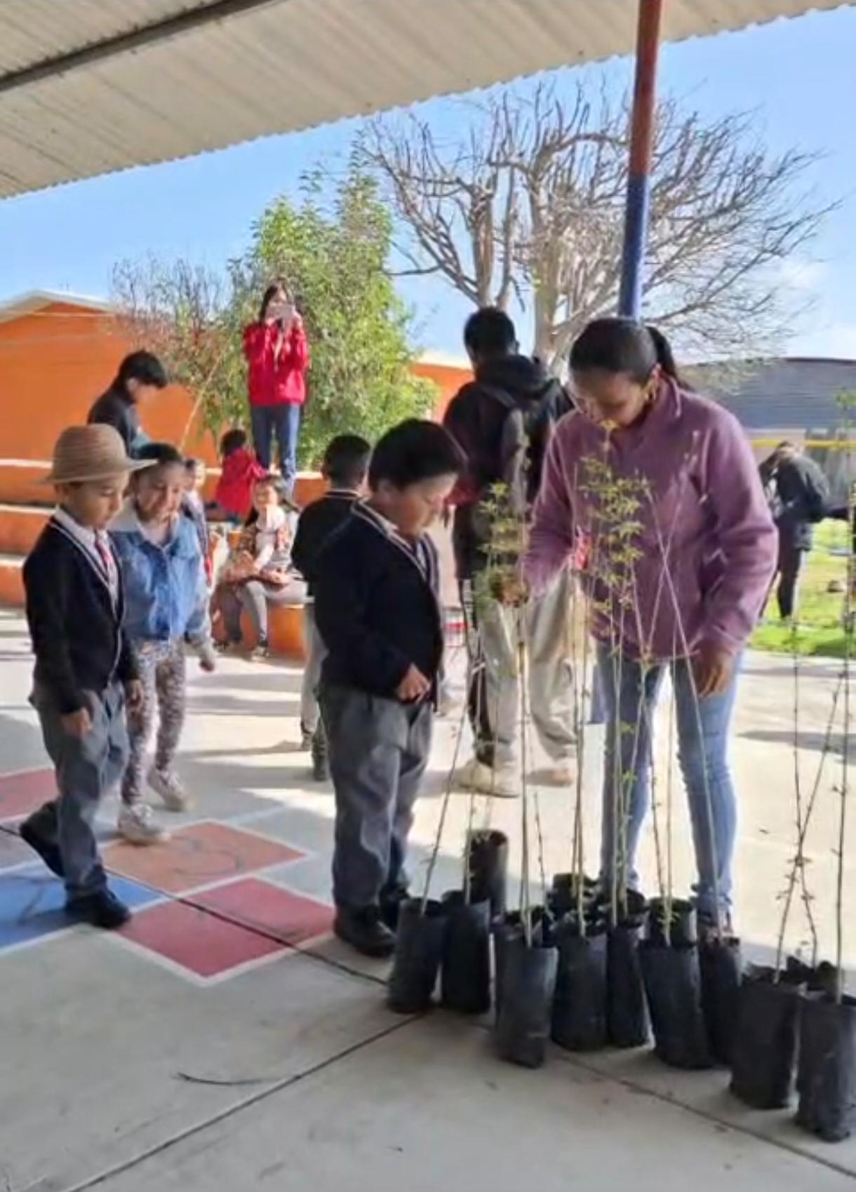 Actividad 48